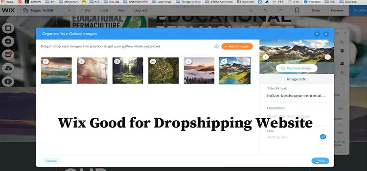 Is Wix Good for Dropshipping Website