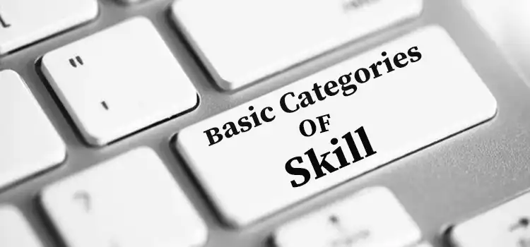 What are The 3 Basic Categories of Skills